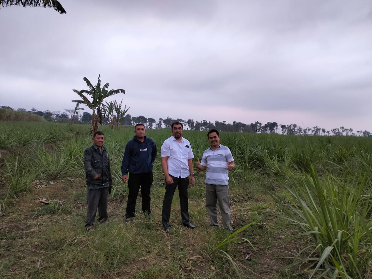 808434dd-d643-49c7-89e5-d3adcc087849